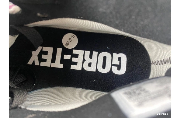 Jordan Gore-Tex 1 Element   DB2889-500 High DB2889-500 Berry 1109